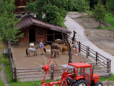 Holiday apartment Eadahof - Outdoor photo 8