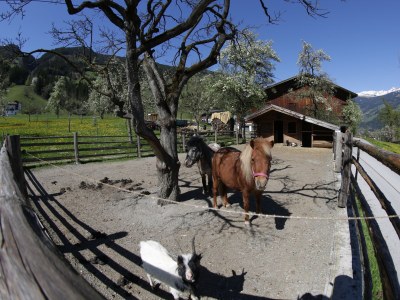 Holiday apartment Eadahof - Outdoor photo 9