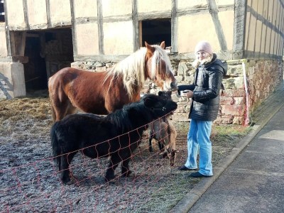 Apartment Charmante Ferienwohnung mit Garten in Hüddingen - Outdoor photo 39