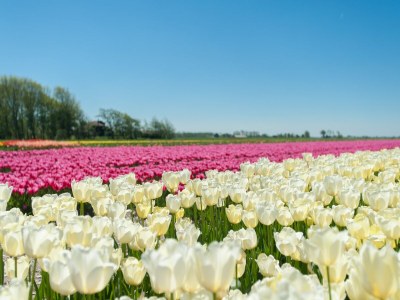 Holiday house Ferienhaus in küstennaher Umgebung - Environment photo 26