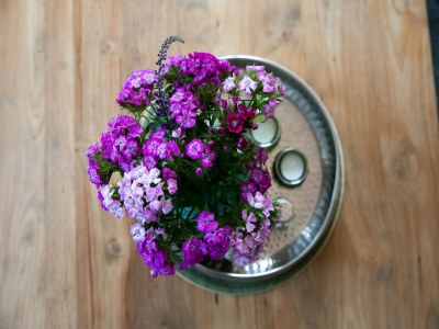 Holiday house Ferienhaus in küstennaher Umgebung - Outdoor photo 31