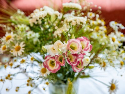 Holiday house Panoramic view - Features photo 24