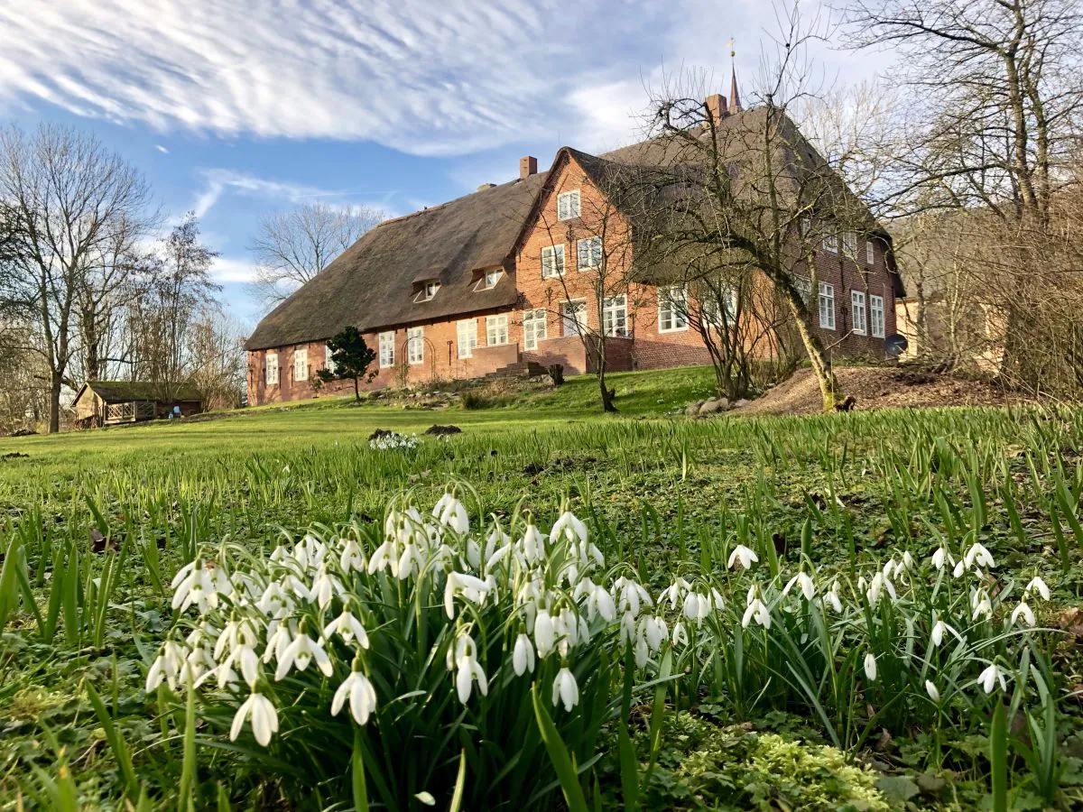 Holiday apartment NordseeLütt - Outdoor photo 2