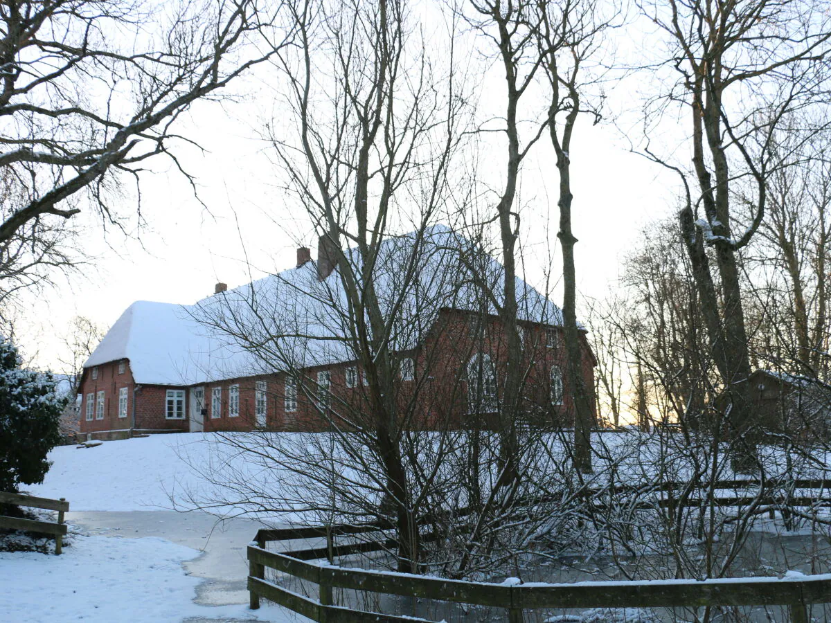 Holiday apartment NordseeLütt - Outdoor photo 3