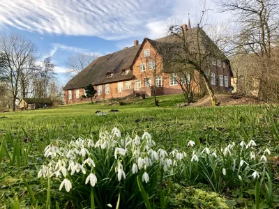 Holiday apartment NordseeLütt - Outdoor photo 2