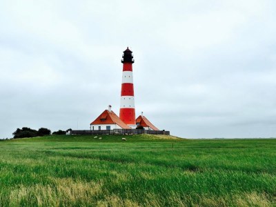 Holiday apartment NordseeLütt - Environment photo 12