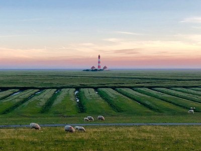 Holiday apartment NordseeLütt - Environment photo 13