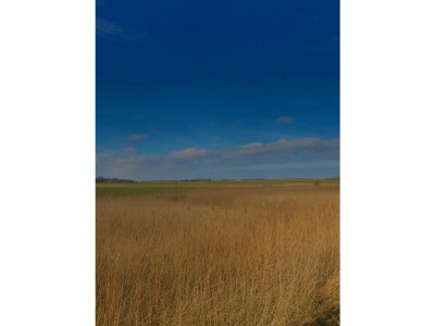 Holiday apartment NordseeLütt - Environment photo 17