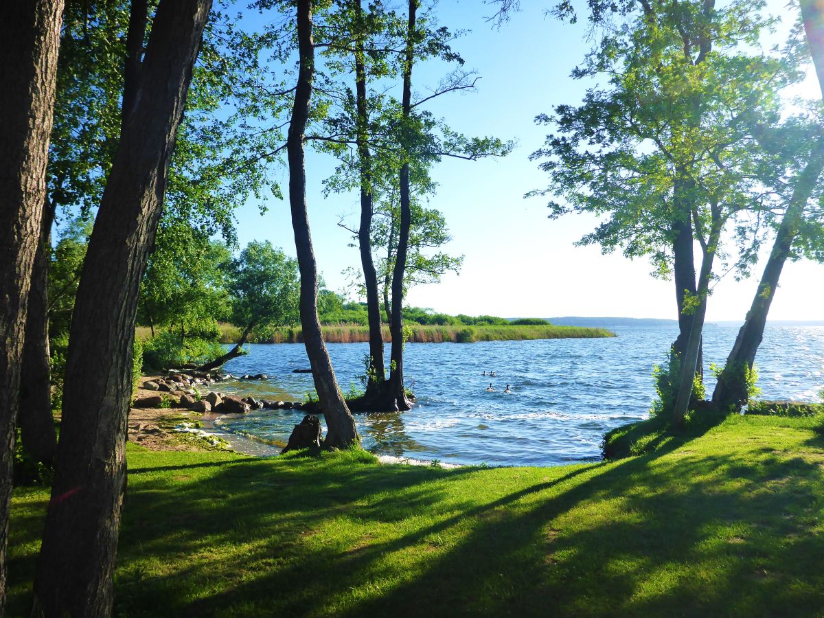 Holiday apartment am Yachthafen - Outdoor photo 5