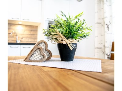 Apartment Alpenliebe - Features photo 17