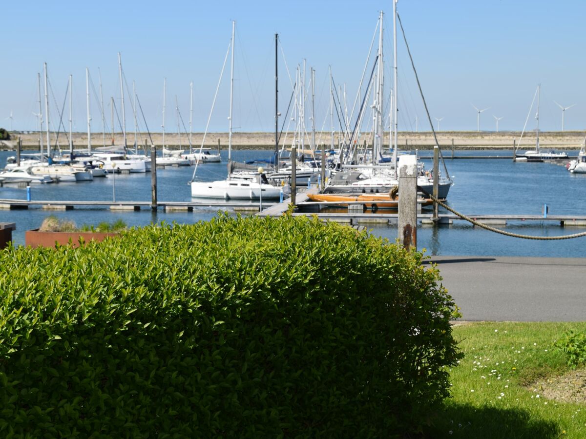 Holiday house Ferienhaus Kamperland am Strand & Marina - Outdoor photo 2
