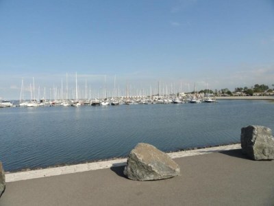 Holiday house Ferienhaus Kamperland am Strand & Marina - Environment photo 25