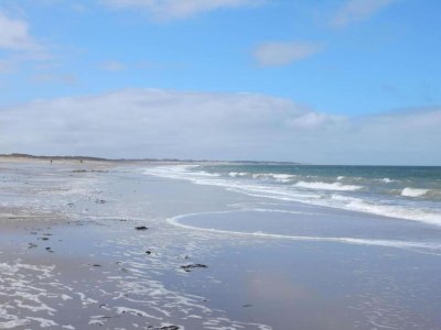 Holiday house Ferienhaus Kamperland am Strand & Marina - Environment photo 29