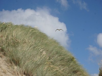 Holiday house Ferienhaus Kamperland am Strand & Marina - Outdoor photo 39