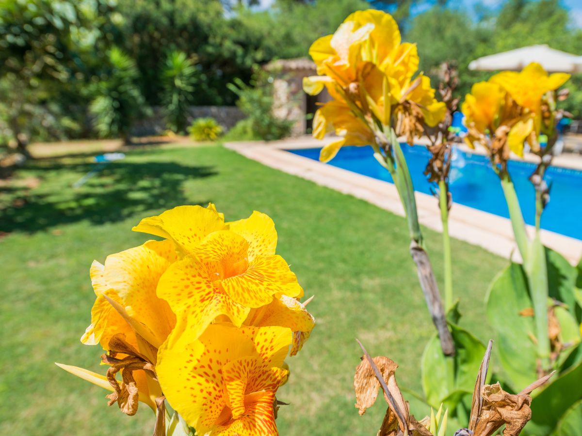 Villa Casa Alba - Outdoor photo 2