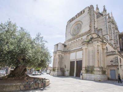 Villa Casa Alba - Environment photo 35