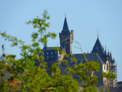 Holiday house Blockhaus Galgenberg - Outdoor photo 8