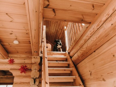 Holiday house Blockhaus Galgenberg - Features photo 13