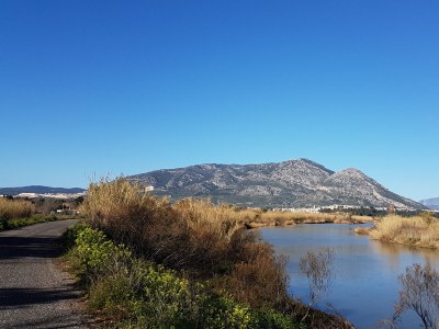 Holiday apartment Azzurra - Environment photo 20