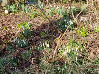 Bungalow Gerritslanderdijkje 72 - Outdoor photo 11