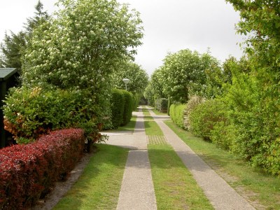 Bungalow Gerritslanderdijkje 72 - Environment photo 33