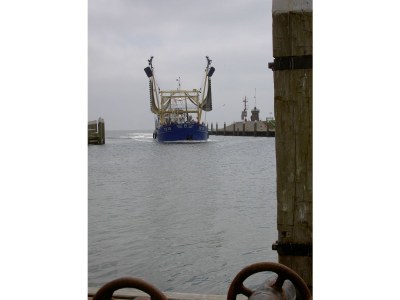 Bungalow Gerritslanderdijkje 72 - Environment photo 37