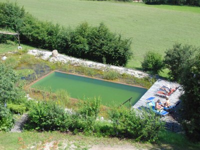 Holiday apartment Troger - Outdoor photo 4