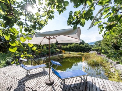 Holiday apartment Troger - Outdoor photo 6