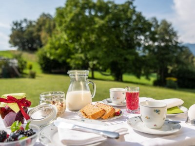 Holiday apartment Troger - Outdoor photo 9