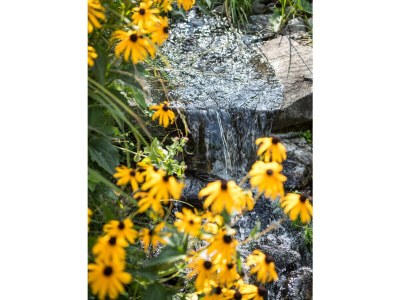 Holiday apartment Troger - Outdoor photo 10