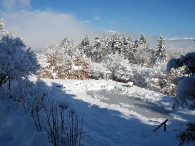 Holiday apartment Troger - Outdoor photo 12