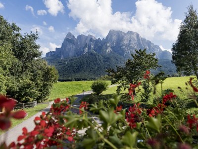 Holiday apartment Troger - Outdoor photo 13