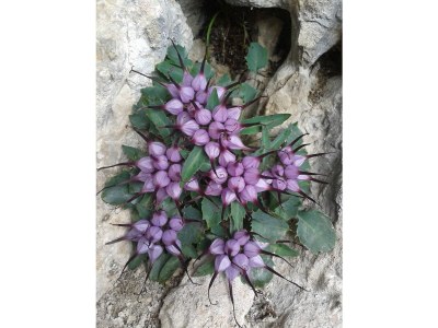 Holiday apartment Troger - Environment photo 26