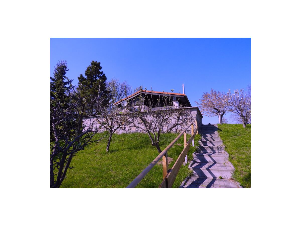 Holiday house Bungalow at Galgenberg in Wernigerode - Outdoor photo 4