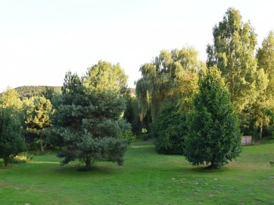Apartment Gemütliche Wohnung in Flussnähe in Regen Bayern - Outdoor photo 8