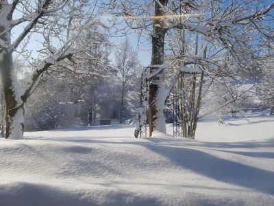 Apartment Gemütliche Wohnung in Flussnähe in Regen Bayern - Outdoor photo 18