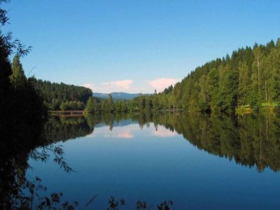 Apartment Gemütliche Wohnung in Flussnähe in Regen Bayern - Environment photo 31