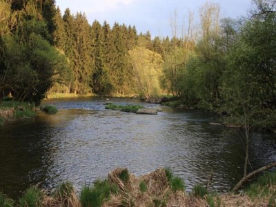 Apartment Gemütliche Wohnung in Flussnähe in Regen Bayern - Environment photo 34