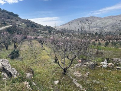 Villa Mediterraner Rückzugsort mit Garten - Environment photo 30