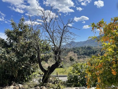 Villa Mediterraner Rückzugsort mit Garten - Environment photo 31