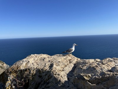 Villa Mediterraner Rückzugsort mit Garten - Environment photo 37