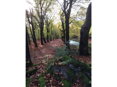 Holiday house Casa Floris - Environment photo 17