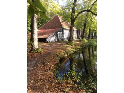 Holiday house Casa Floris - Environment photo 18