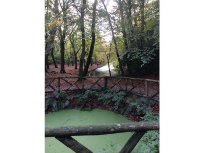 Holiday house Casa Floris - Environment photo 20