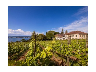 Holiday apartment - No title - - Environment photo 30