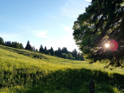 Holiday apartment Hörnle Blick - Outdoor photo 3