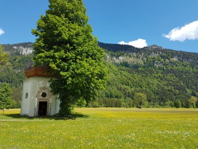 Holiday apartment Hörnle Blick - Environment photo 18