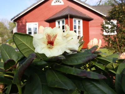 Holiday house "kleine Bucht" ("little bay") in Geel - Holiday house