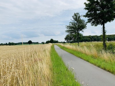 Holiday house "kleine Bucht" ("little bay") - Environment photo 37