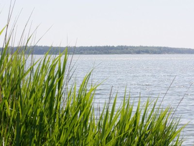 Holiday house "kleine Bucht" ("little bay") - Document photo 45